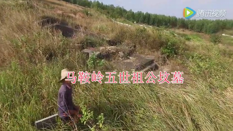 二房五支西湾五世惟新祖墓1.png