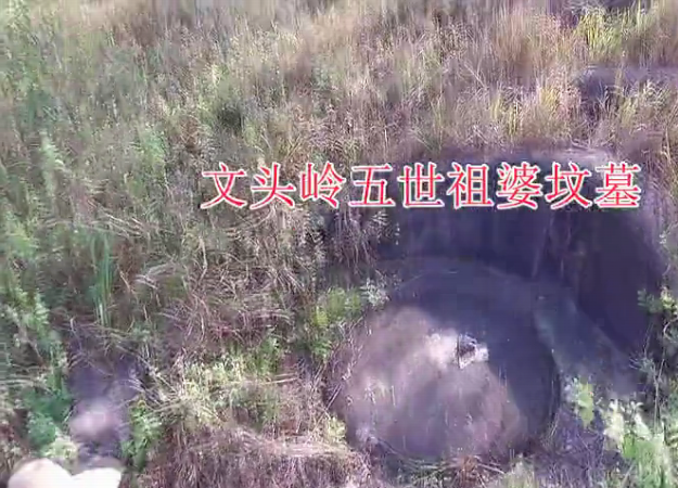二房五支西湾五世惟新祖婆墓1.png